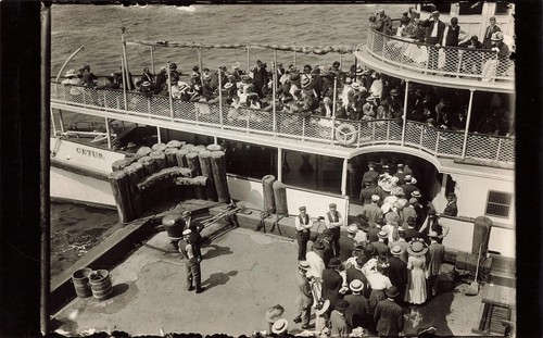 Cetus paddle steamer - paddle,